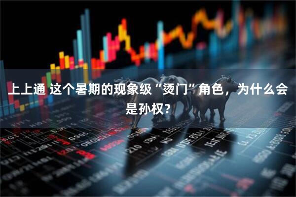 上上通 这个暑期的现象级“烫门”角色,为什么会是孙权?