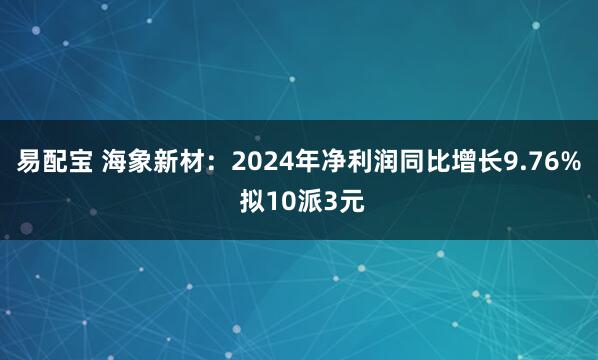 易配宝 海象新材:2024年净利润同比增长9.76% 拟10派3元